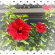 ヒメ日記 2025/08/19 12:39 投稿 ミヤビ Club 妻