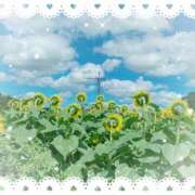 ヒメ日記 2025/08/20 14:53 投稿 ミヤビ Club 妻