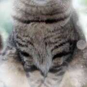 ヒメ日記 2025/09/18 16:35 投稿 ミヤビ Club 妻