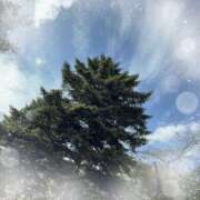 ヒメ日記 2025/10/09 13:32 投稿 ミヤビ Club 妻