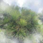 ヒメ日記 2025/10/14 11:44 投稿 ミヤビ Club 妻