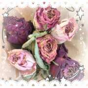 ヒメ日記 2025/10/15 14:58 投稿 ミヤビ Club 妻