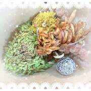 ヒメ日記 2025/10/16 15:23 投稿 ミヤビ Club 妻