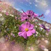 ヒメ日記 2025/10/29 15:01 投稿 ミヤビ Club 妻