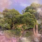 ヒメ日記 2025/11/05 15:06 投稿 ミヤビ Club 妻