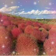 ヒメ日記 2025/11/25 12:36 投稿 ミヤビ Club 妻