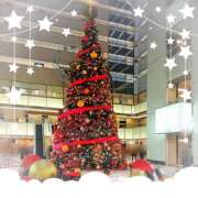 ヒメ日記 2025/12/05 15:06 投稿 ミヤビ Club 妻