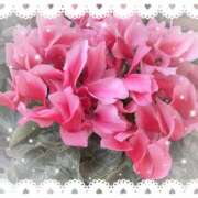 ヒメ日記 2025/12/11 15:01 投稿 ミヤビ Club 妻