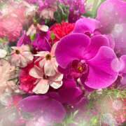 ヒメ日記 2025/12/31 12:09 投稿 ミヤビ Club 妻