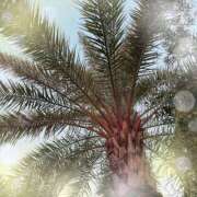 ヒメ日記 2026/01/14 15:19 投稿 ミヤビ Club 妻