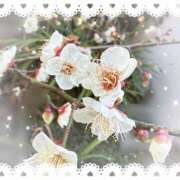 ヒメ日記 2026/02/02 16:07 投稿 ミヤビ Club 妻