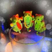 ヒメ日記 2026/02/08 12:51 投稿 ミヤビ Club 妻