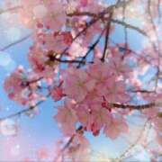 ヒメ日記 2026/02/28 14:58 投稿 ミヤビ Club 妻