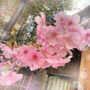 ヒメ日記 2026/03/23 18:37 投稿 ミヤビ Club 妻