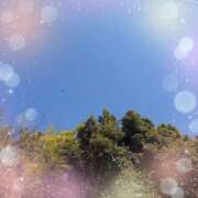 ヒメ日記 2026/03/24 12:12 投稿 ミヤビ Club 妻