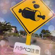 ヒメ日記 2026/03/29 13:39 投稿 ミヤビ Club 妻