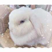 ヒメ日記 2026/03/30 15:01 投稿 ミヤビ Club 妻