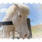 ヒメ日記 2026/03/31 19:47 投稿 ミヤビ Club 妻