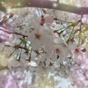 ヒメ日記 2026/04/06 21:42 投稿 ミヤビ Club 妻