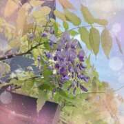 ミヤビ 🪻 Club 妻