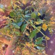 ヒメ日記 2026/04/22 15:13 投稿 ミヤビ Club 妻