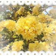 ヒメ日記 2026/04/25 14:55 投稿 ミヤビ Club 妻