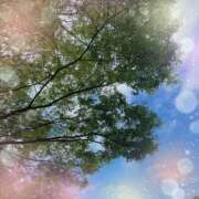 ヒメ日記 2026/04/28 18:53 投稿 ミヤビ Club 妻