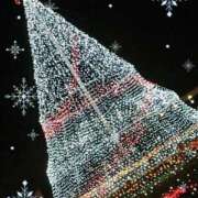 ヒメ日記 2024/12/12 15:27 投稿 新人さくらこ☆ セレブ パラダイス