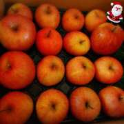 ヒメ日記 2024/12/14 09:12 投稿 新人さくらこ☆ セレブ パラダイス