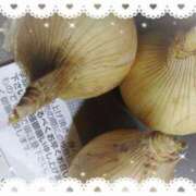 ヒメ日記 2025/04/09 15:18 投稿 新人さくらこ☆ セレブ パラダイス