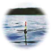 ヒメ日記 2025/09/23 18:06 投稿 新人さくらこ☆ セレブ パラダイス