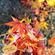 ヒメ日記 2025/12/03 09:33 投稿 新人さくらこ☆ セレブ パラダイス