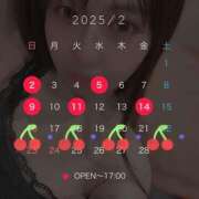 ヒメ日記 2025/01/31 23:50 投稿 和泉　キコ 響-HIBIKI-