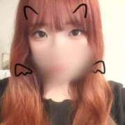 ヒメ日記 2025/03/12 14:10 投稿 あんな ちゃんこ本厚木店