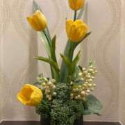 ヒメ日記 2025/05/09 22:57 投稿 みみ 奥様メモリアル