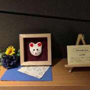 ヒメ日記 2025/09/06 23:18 投稿 みみ 奥様メモリアル