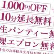 ヒメ日記 2025/09/10 00:54 投稿 みみ 奥様メモリアル