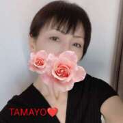 ヒメ日記 2025/01/03 07:18 投稿 草刈たまよ 麗しいマダム