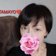 ヒメ日記 2025/01/22 13:36 投稿 草刈たまよ 麗しいマダム