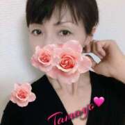 ヒメ日記 2025/06/06 17:43 投稿 草刈たまよ 麗しいマダム