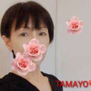 ヒメ日記 2025/07/04 08:53 投稿 草刈たまよ 麗しいマダム