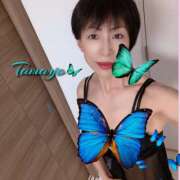 ヒメ日記 2025/09/18 10:36 投稿 草刈たまよ 麗しいマダム