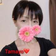 ヒメ日記 2025/10/16 11:59 投稿 草刈たまよ 麗しいマダム