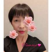 ヒメ日記 2025/11/13 09:46 投稿 草刈たまよ 麗しいマダム