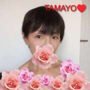 ヒメ日記 2025/11/29 13:56 投稿 草刈たまよ 麗しいマダム