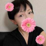 草刈たまよ 12/11(木)・12/13(土)出勤します💕 麗しいマダム