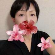 ヒメ日記 2026/01/02 15:10 投稿 草刈たまよ 麗しいマダム