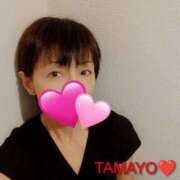 ヒメ日記 2026/01/29 10:43 投稿 草刈たまよ 麗しいマダム