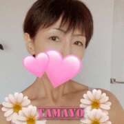 ヒメ日記 2026/03/26 23:58 投稿 草刈たまよ 麗しいマダム