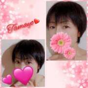 ヒメ日記 2026/04/06 19:29 投稿 草刈たまよ 麗しいマダム